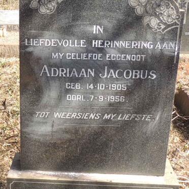 ROOTMAN Adriaan Jacobus 1905-1956