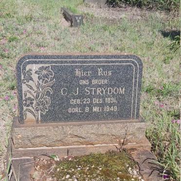 STRYDOM C.J. 1891-1949