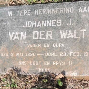 WALT Johannes J., van der 1890-1950