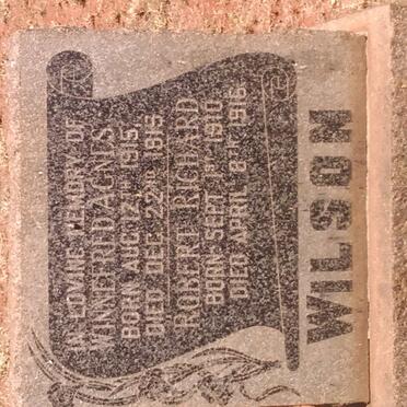 WILSON Robert Richard 1910-1916 :: WILSON Winnefred Agnes 1915-1915