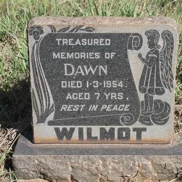 WILMOT Dawn -1954