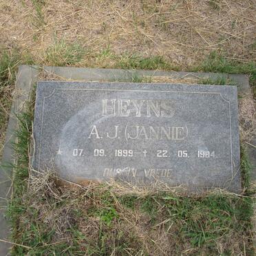 HEYNS A.J. 1899-1984