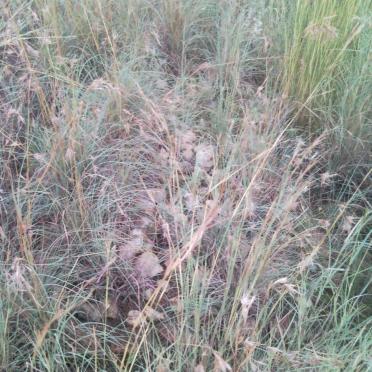 3. Four unmarked graves / vier ongemerkte grafte