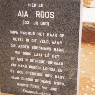 ROOS Rosie