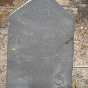 WALT Cornelia, van der