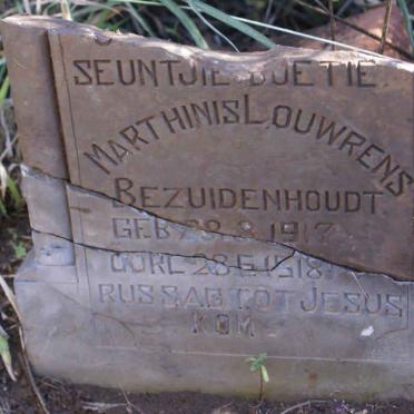 BEZUIDENHOUT Marthinis Louwrens 1917-1918
