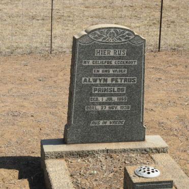 PRINSLOO Alwyn Petrus 1869-1939