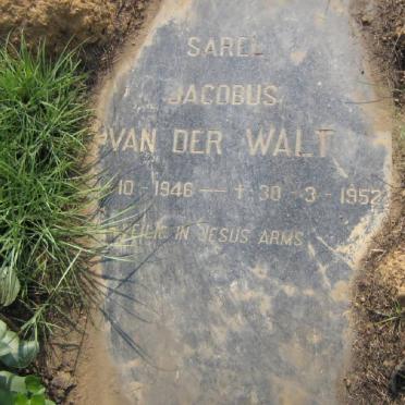 WALT Sarel Jacobus, van der 1946-1952