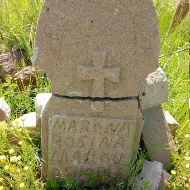 MARONA Rosina