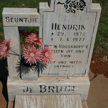BRUIN Hendrik, de 1972-1977