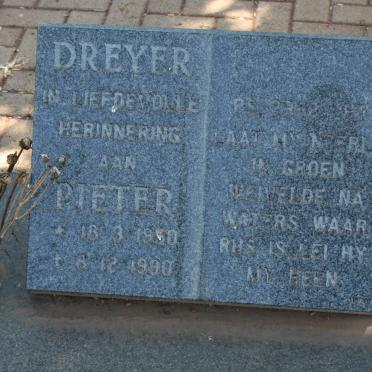 DREYER Pieter 1950-1980