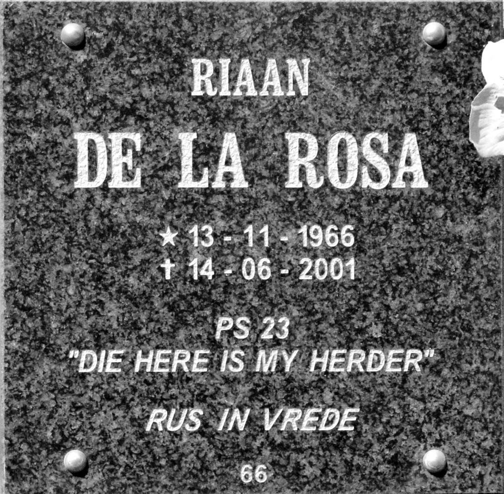 ROSA Riaan, de la 1966-2001