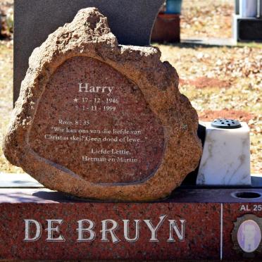 BRUYN Harry, de 1946-1999