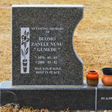 DLOMO Zanele Nunu 1979-2006