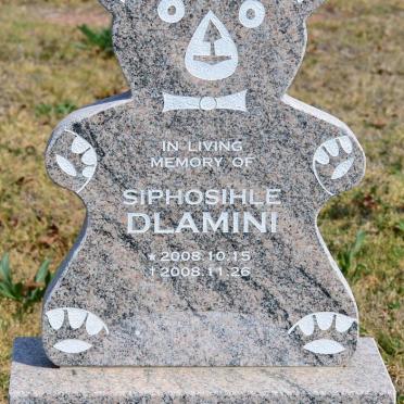 DLAMINI Siphosihle 2008-2008