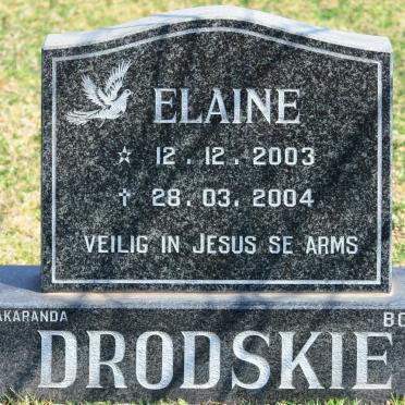DRODSKIE Elaine 2003-2004