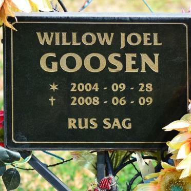 GOOSEN Willow Joel 2004-2008