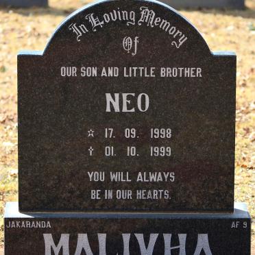 MALIVHA Neo 1998-1999