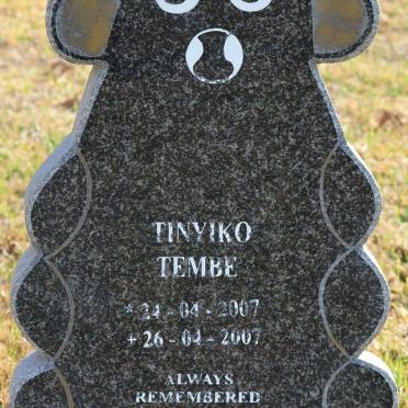 TEMBE Tinyiko 2007-2007