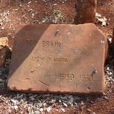 BRAIN Ted 1959-1960