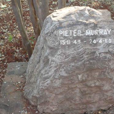 MURRAY Pieter 1949-1960