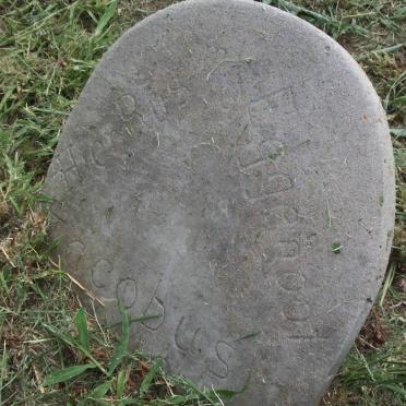 ? Jacobus