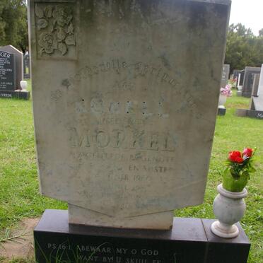 MORKEL Ronell nee SMIT 1960-1982