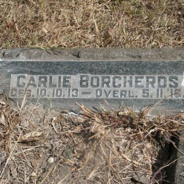 BORCHERDS Carlie 1913-1916