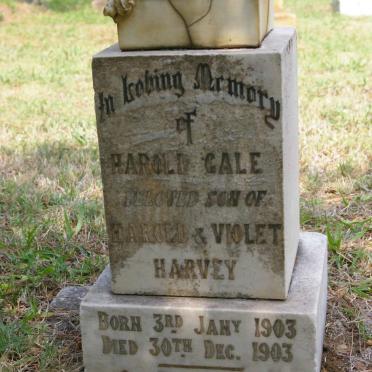 HARVEY Harold Gale 1903-1903