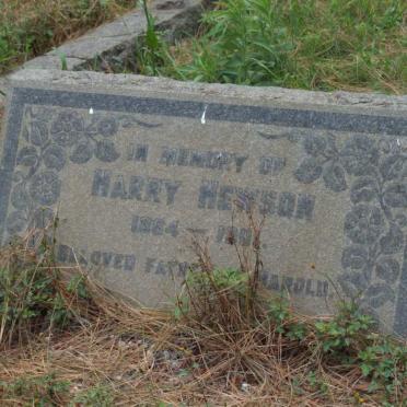 HEWSON Harry 1864-19??
