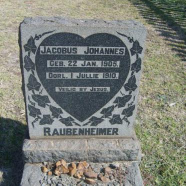 RAUBENHEIMER Jacobus Johannes 1905-1910