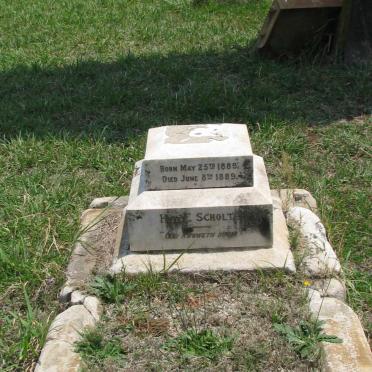 SCHOLTZ ? 1889-1889
