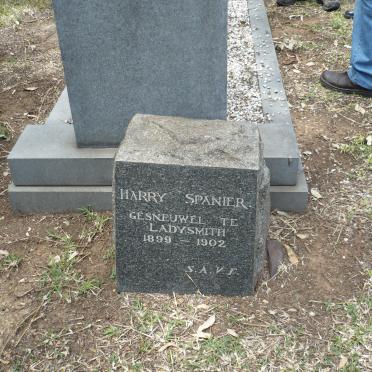 SPANIER Harry -1899