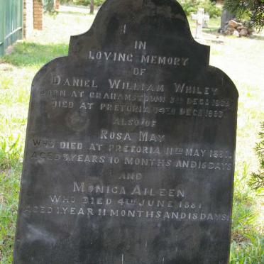 WHILEY Daniel William 1839-1883 :: WHILEY Rosa May -1881 :: WHILEY Monica Aileen -1881