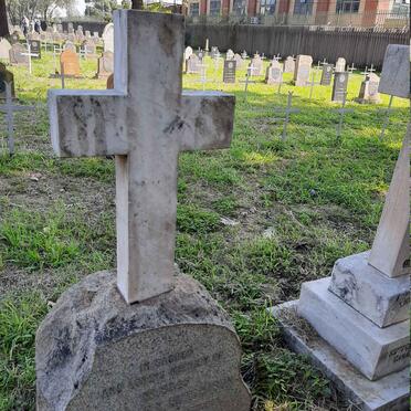 HUTCHISON G.Y. -1902