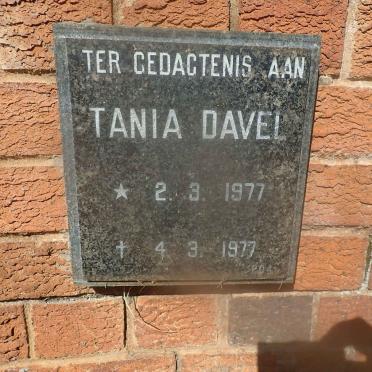 DAVEL Tania 1977-1977