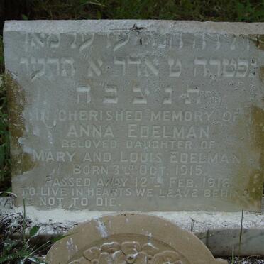 EDELMAN Anna 1915-1916