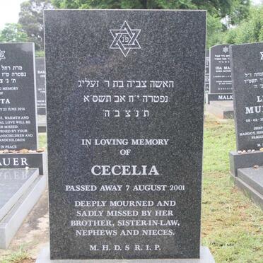 WEINSTEIN Cecelia -2001