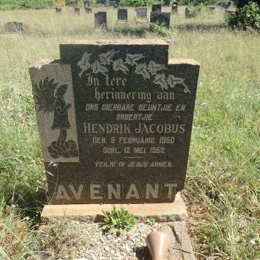 AVENANT Hendrik Jacobus 1950-1950