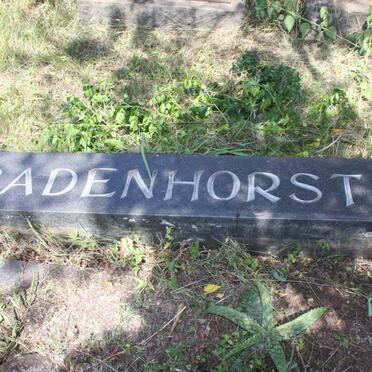 2. Overview / Oorsig