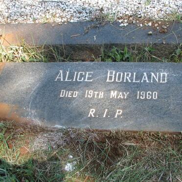 BORLAND Alice -1960