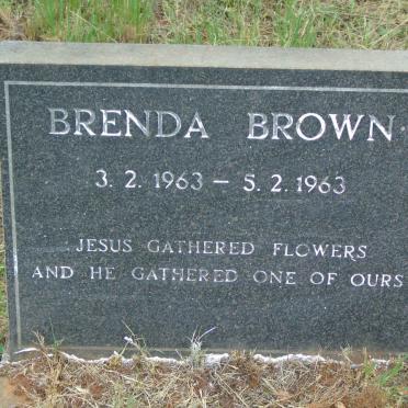 BROWN Brenda 1963-1963
