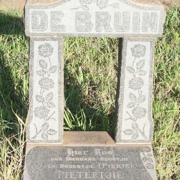 BRUIN Pietertjie, de 1954-1956