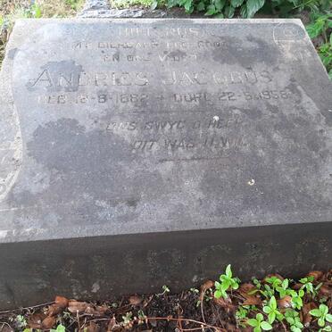 BURGER Andries Jacobus 1882-1958