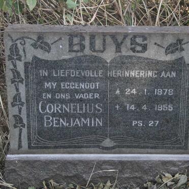 BUYS Cornelius Benjamin 1878-1955