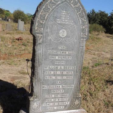 BESTER Willem A. 1872-1936 &amp; Magdalena Salomina ZIETSMAN 1879-1947