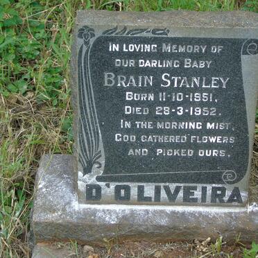D'OLIVEIRA Brain Stanley 1951-1952