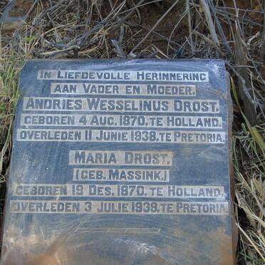 DROST Andries Wesselinus 1870-1938 & Maria MASSINK 1870-1939