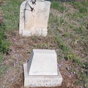 DIQUE Vulco Jacques 1978-1978 :: ? Marietjie