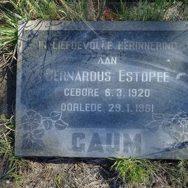 GAUM Bernardus Estopee 1920-1961